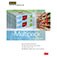 Image of the front cover of The Multipack Solution brochure
