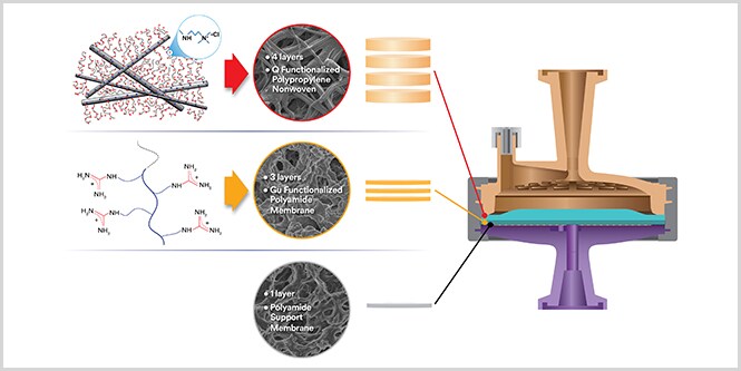 AEX Chromatography in downstream processing
