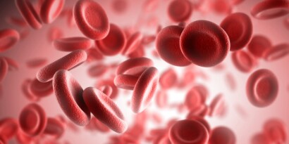 Graphic of plasma fractionation

