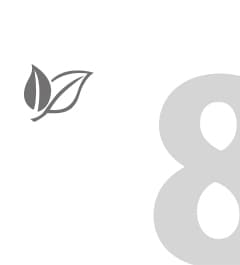 灰色葉片圖示搭配中文標示呈現安心健康意象