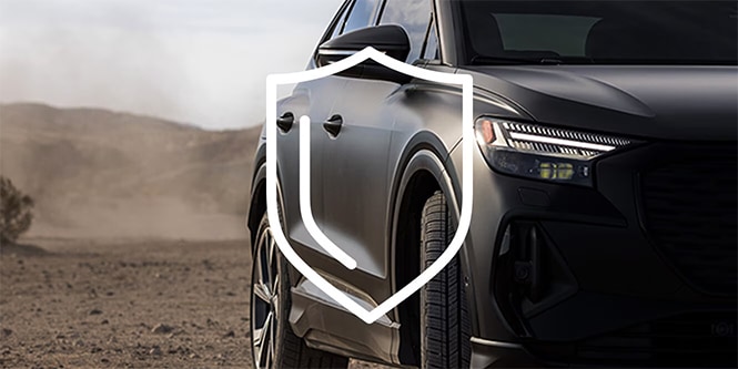 漆面保護膜(犀牛皮)