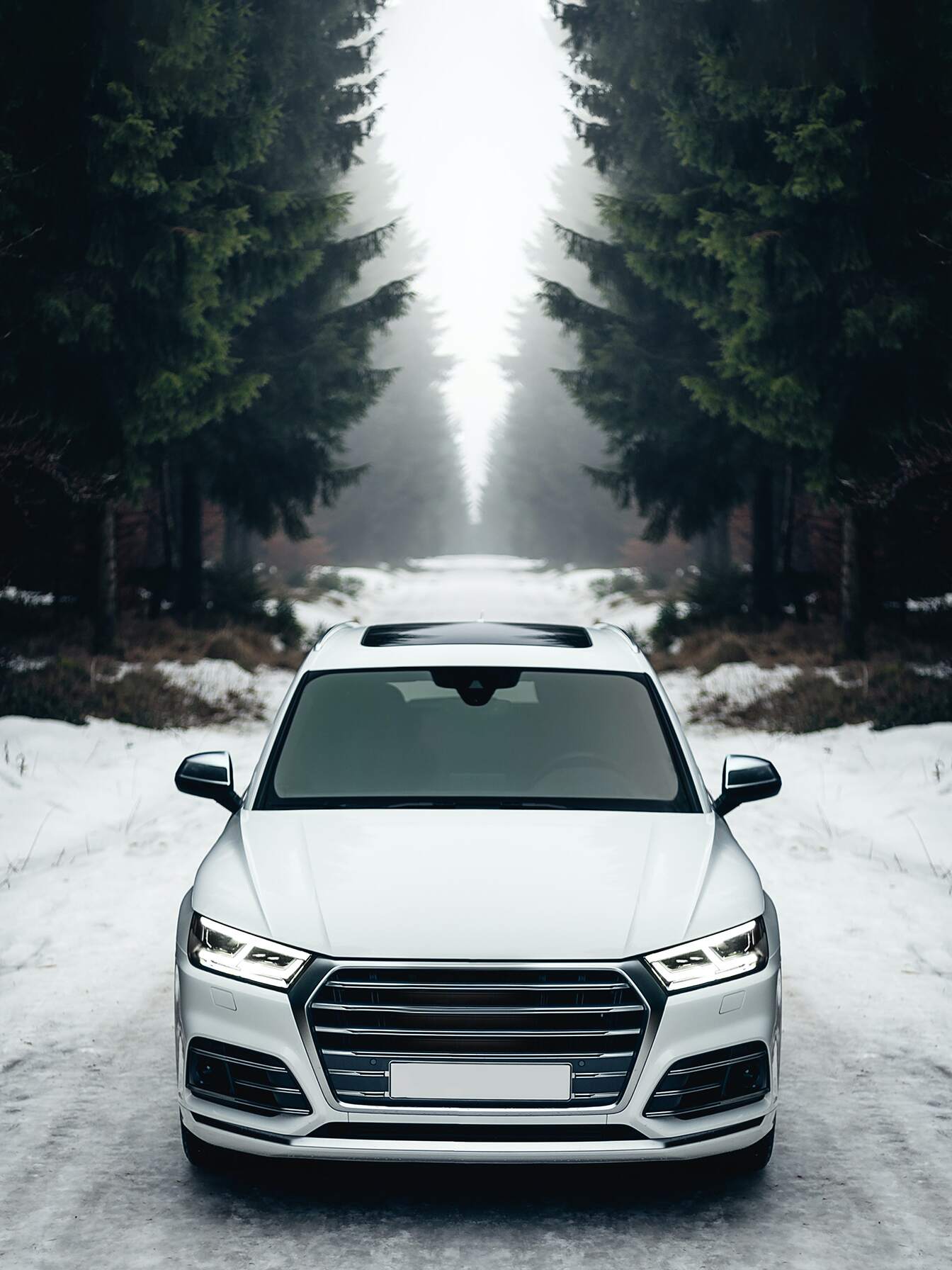 Audi Q5 PHEV