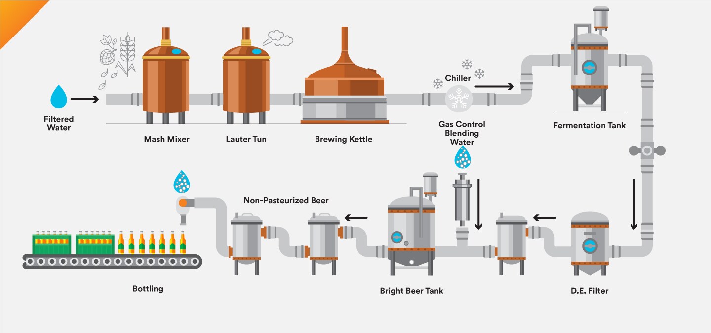 Infographic of beer brewing process
