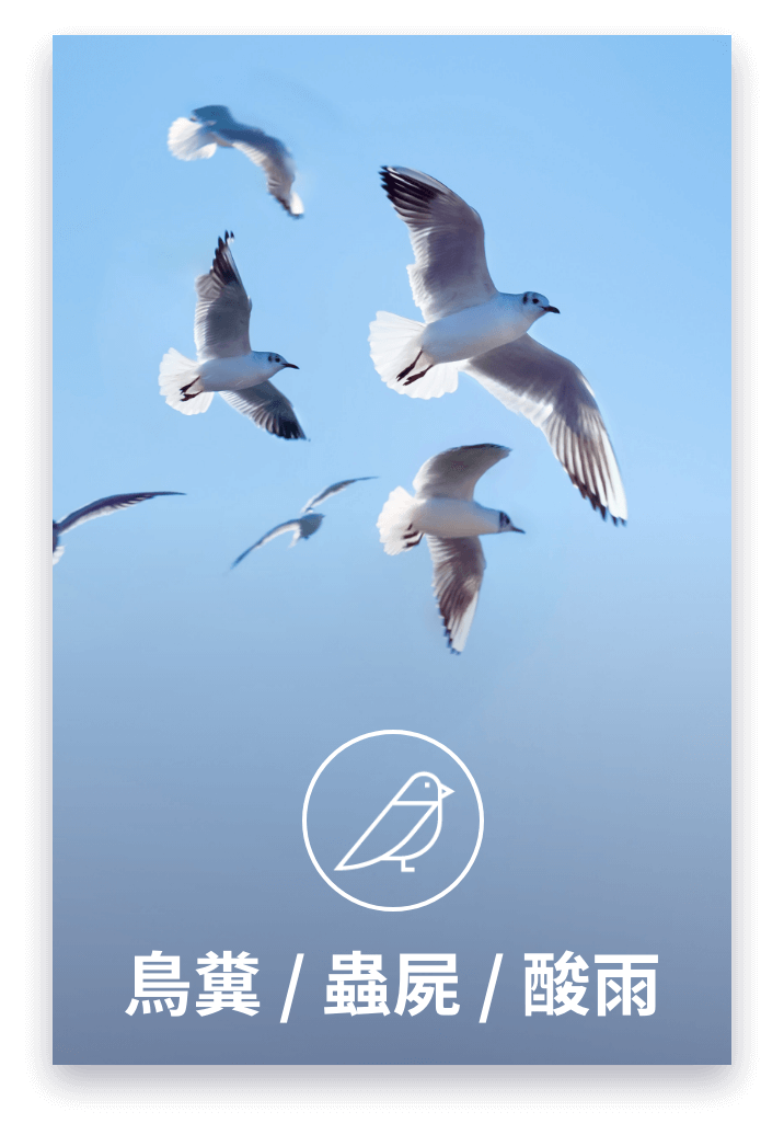 鳥糞蟲屍酸雨 污染