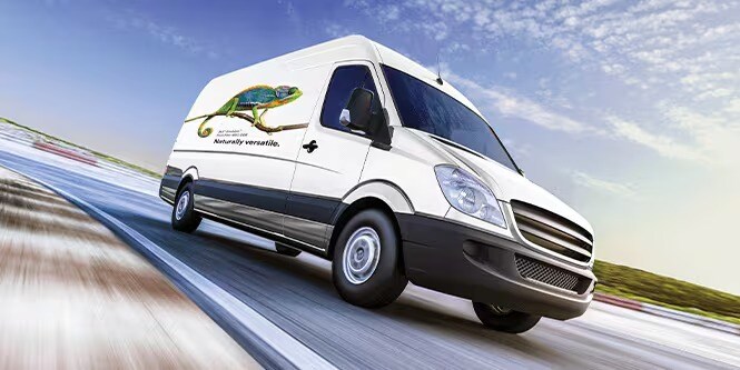 一輛白色麵包車，上面印有鬣蜥圖案
