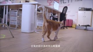 3M™ 全方位空氣濾淨專家 -有笑，更淨化！—— feat. 魚尾紋導演
